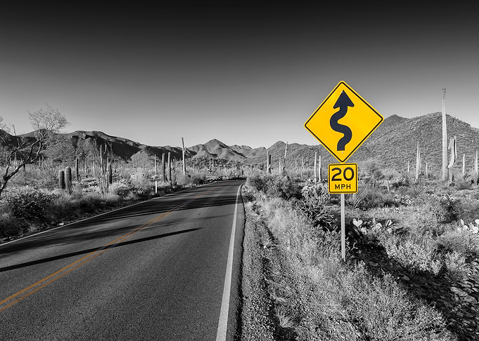 SAGUARO Bajada Loop Drive