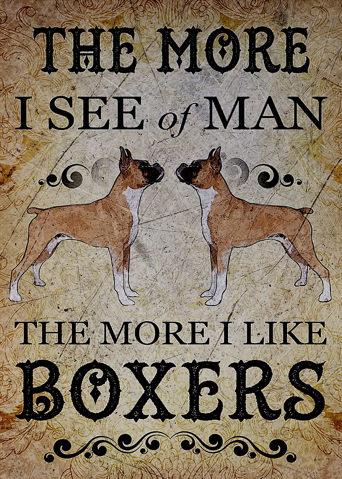 Boxer