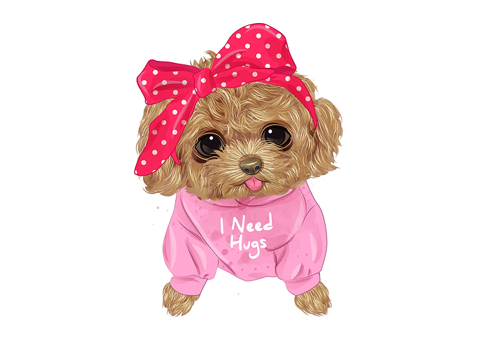 Cute dog poodle