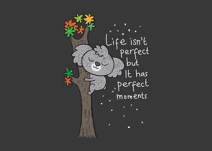 Cute Koala life is perfect