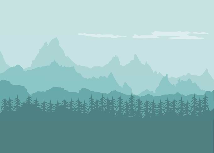 Forest Mountains Landscape