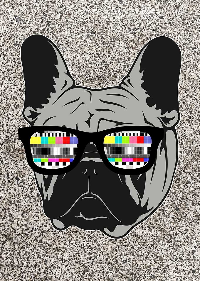Frenchie Vintage 80s
