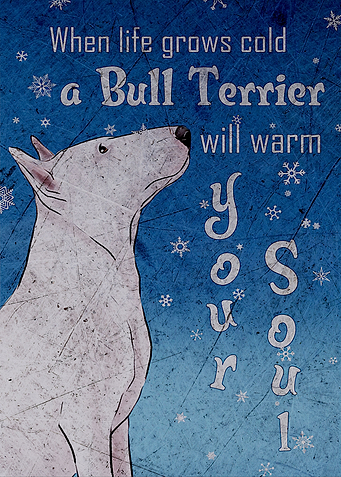 Bull Terrier