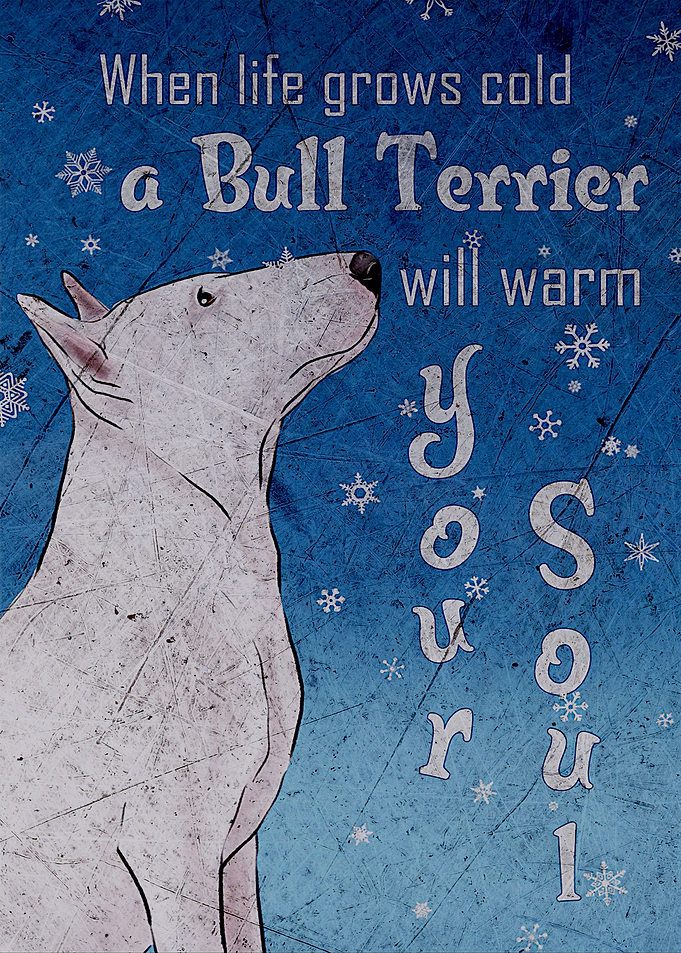 Bull Terrier