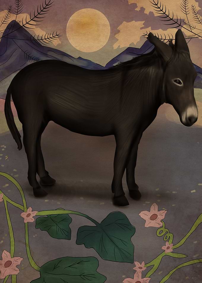 Donkey Moonshine