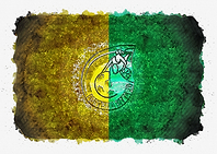 Fortuna Sittard Dutch foot