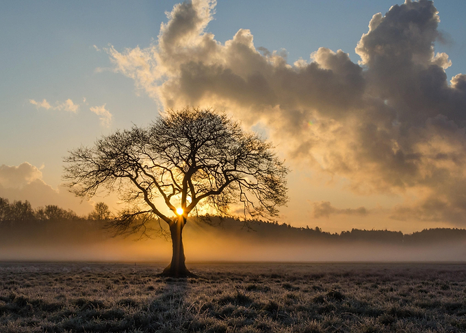 Landscapes