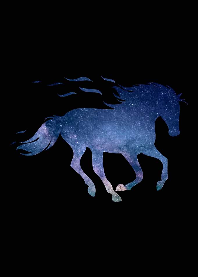 Cute Horse Lover Gift