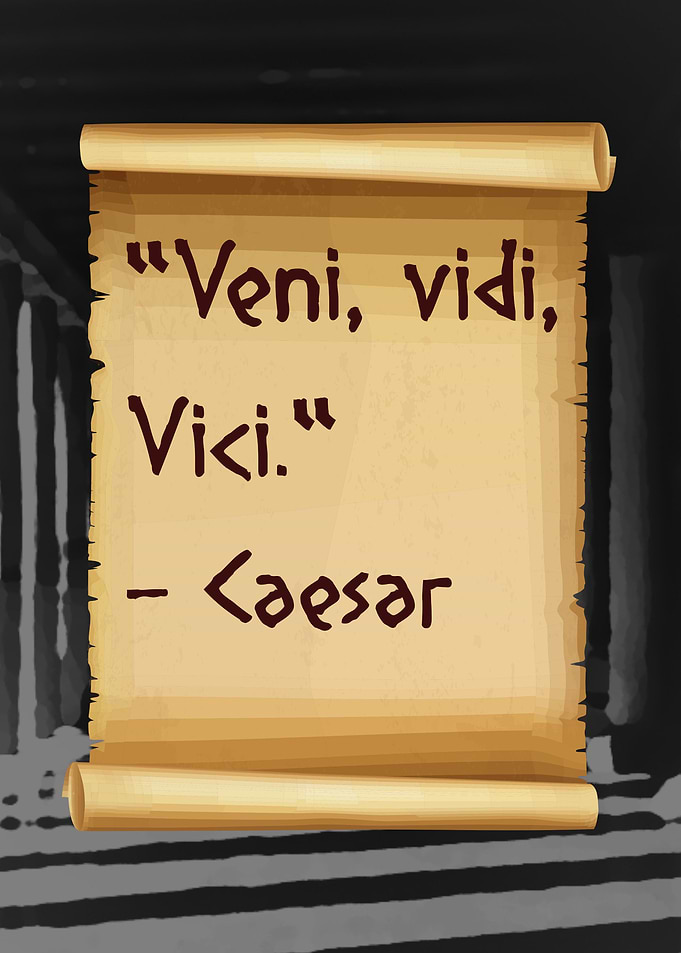Veni Vidi Vici