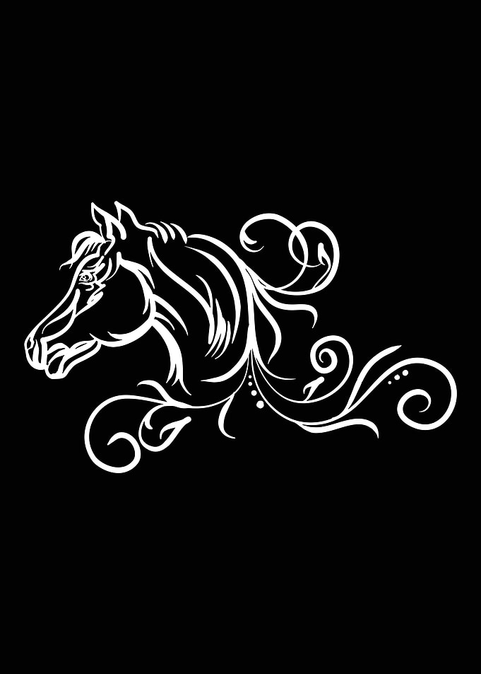Cute Horse Lover Gift