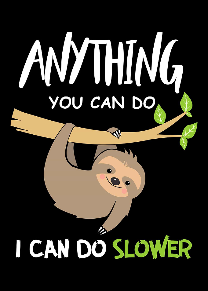 sloth