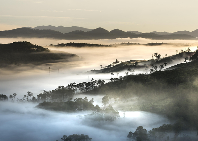 Landscapes