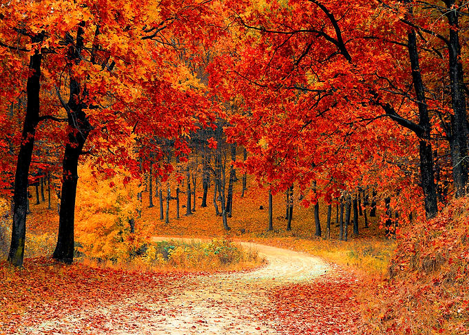 Fall