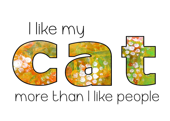 I like my Cat funny