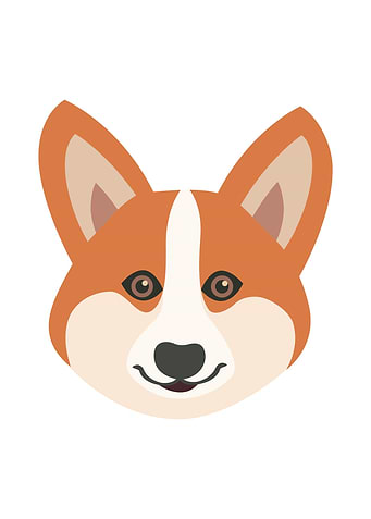 Welsh Corgi Dog Face