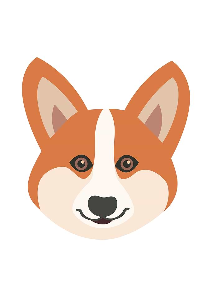 Welsh Corgi Dog Face
