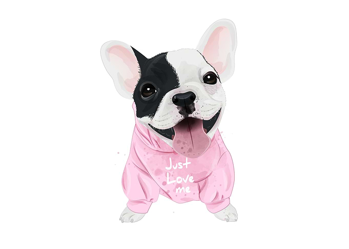 Cute French Bulldog
