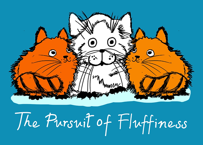 Cute Three Cats