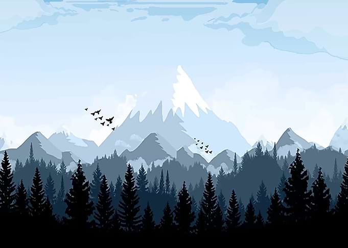 Snow Mountain in Forest