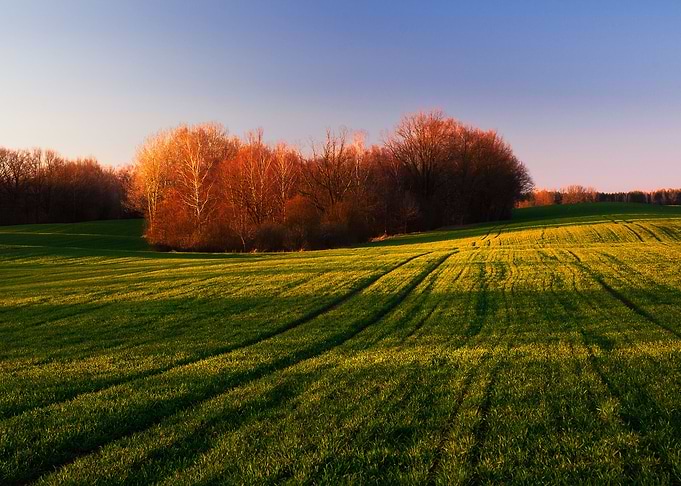 Meadow Nature Landscape Ha