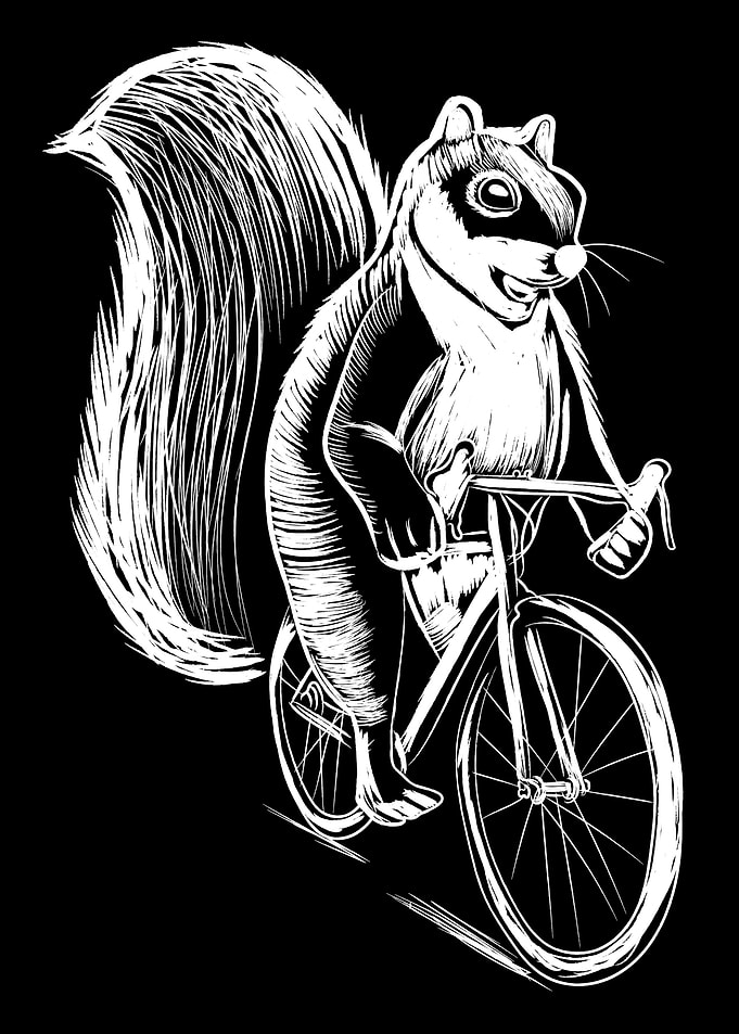 Squirrel Bicycle