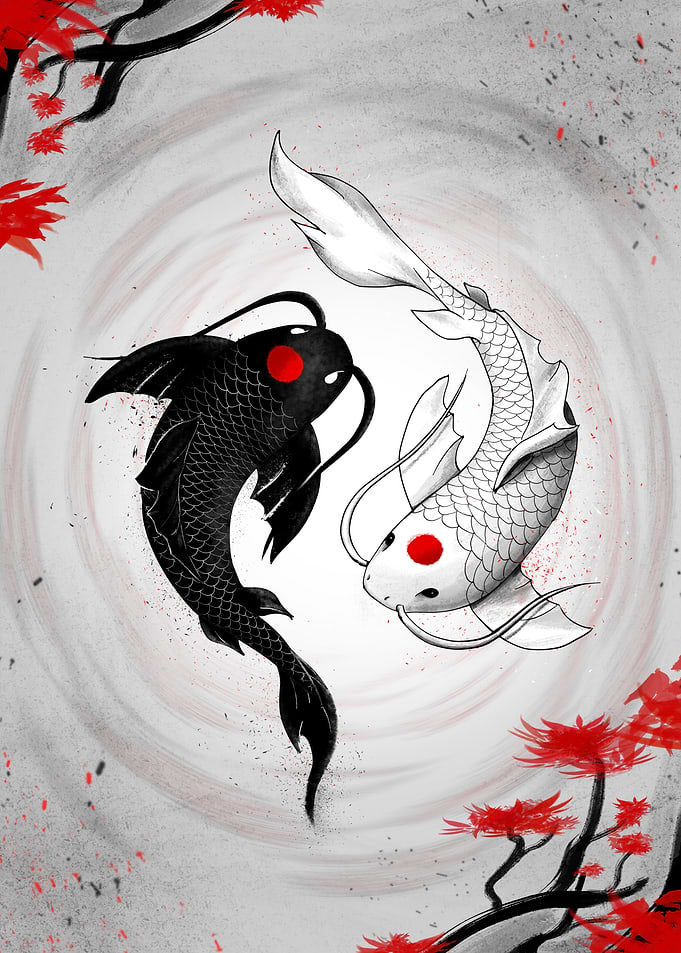 Japanese Koi Fish Vision