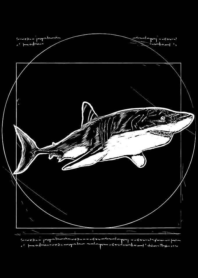 Vitruvian Shark