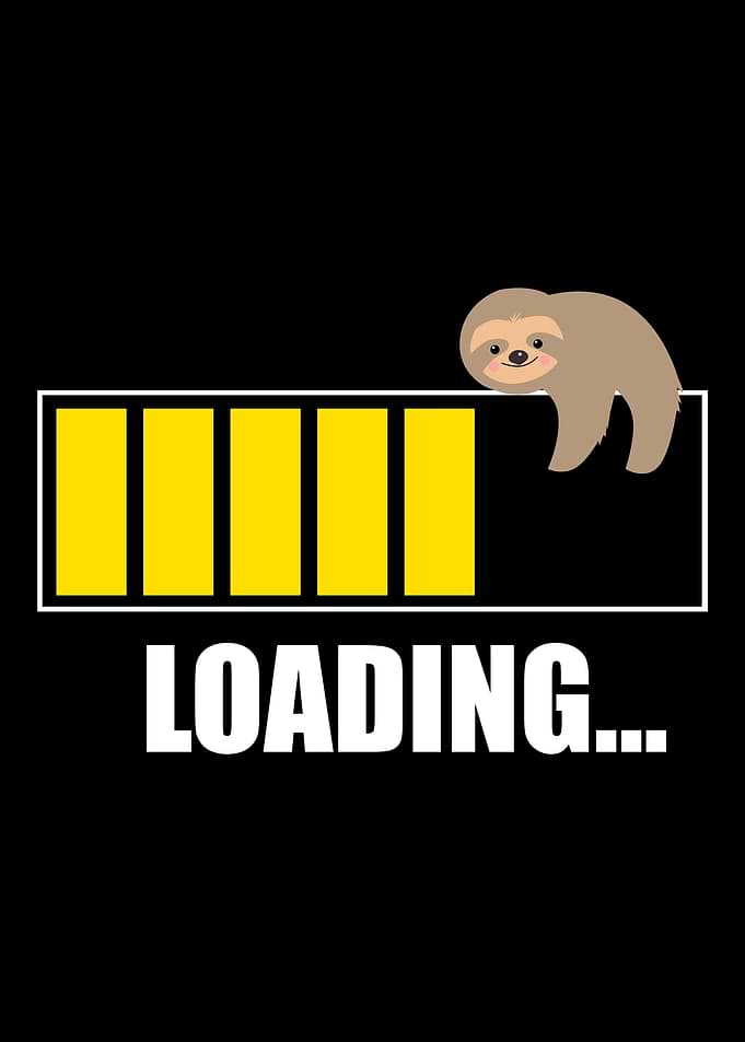 sloth