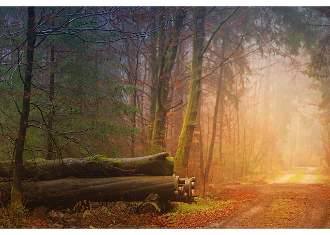 LandscapesMountain Nature
