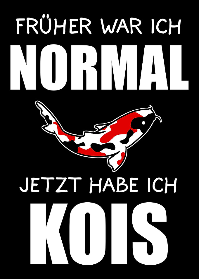 Koi Kois Koifisch Geschenk