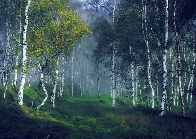 LandscapesMountain Nature