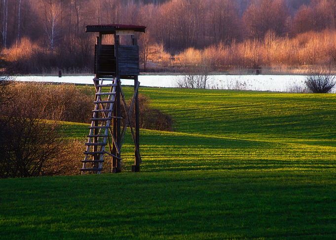 Meadow Nature Landscape Ha