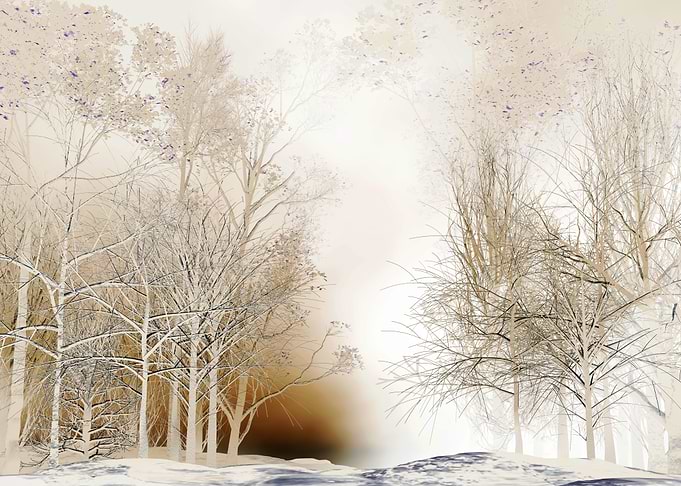 White Woods