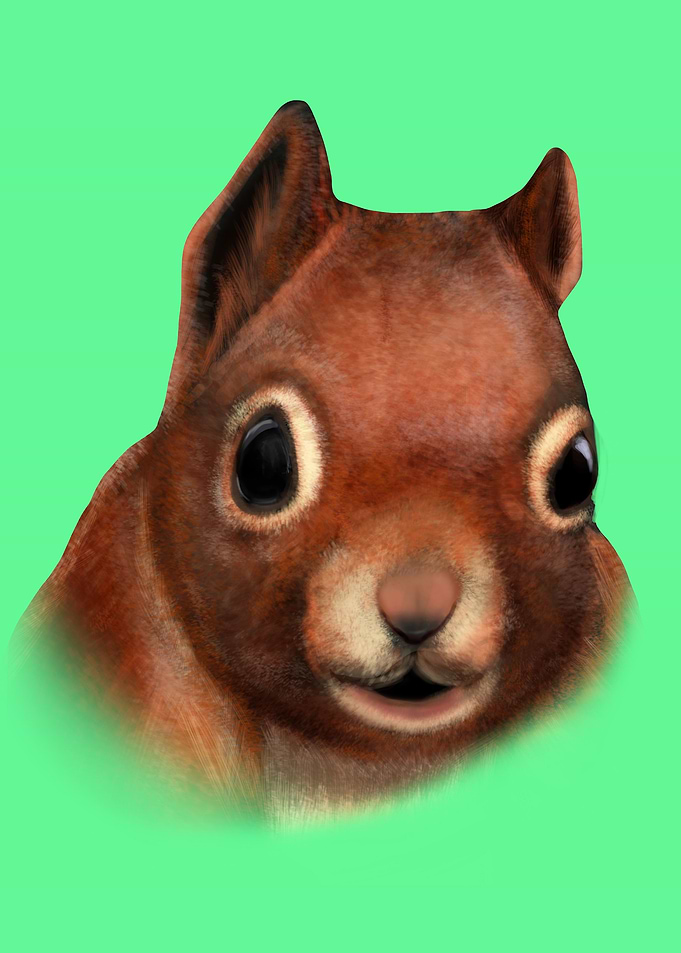 Squirrel Face