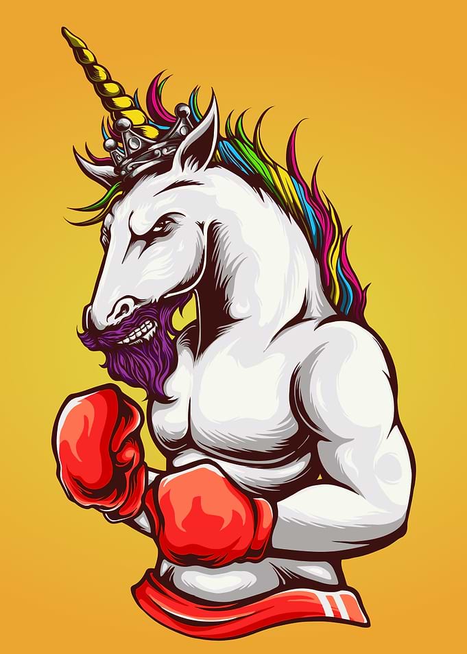 Boxer unicorn