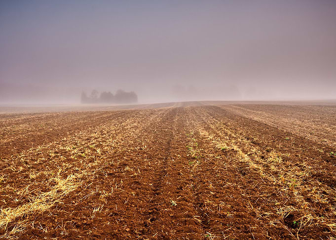 Agriculture Nature Harvest