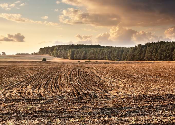 Ground Fog Soil Foggy Agri