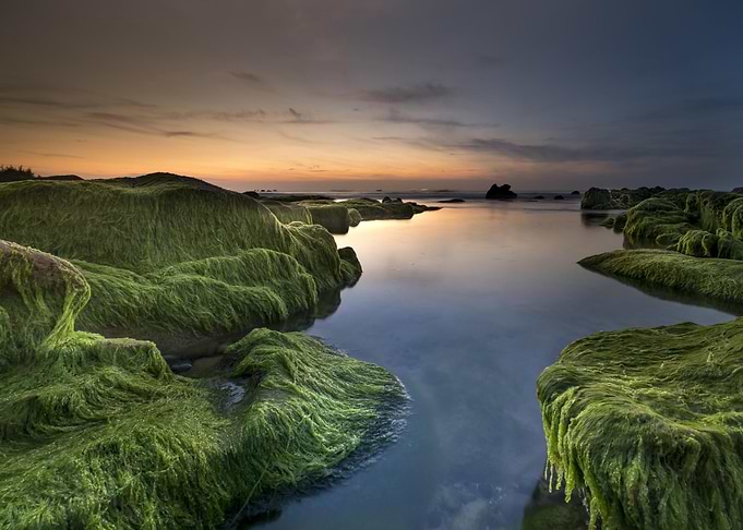 LandscapesMountain Nature
