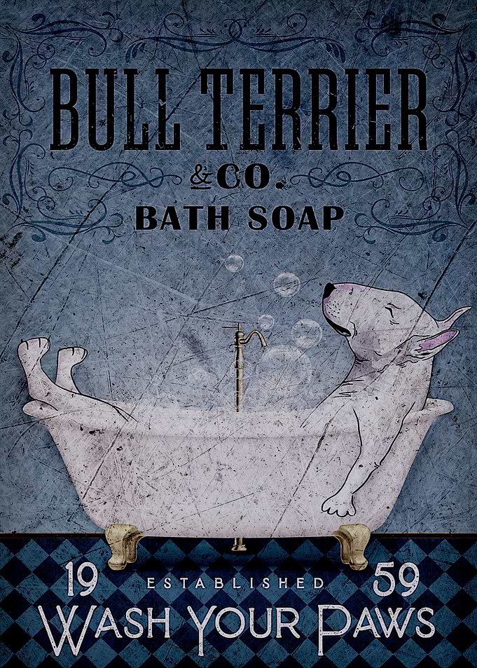 Bull Terrier