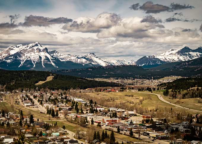 The Town
