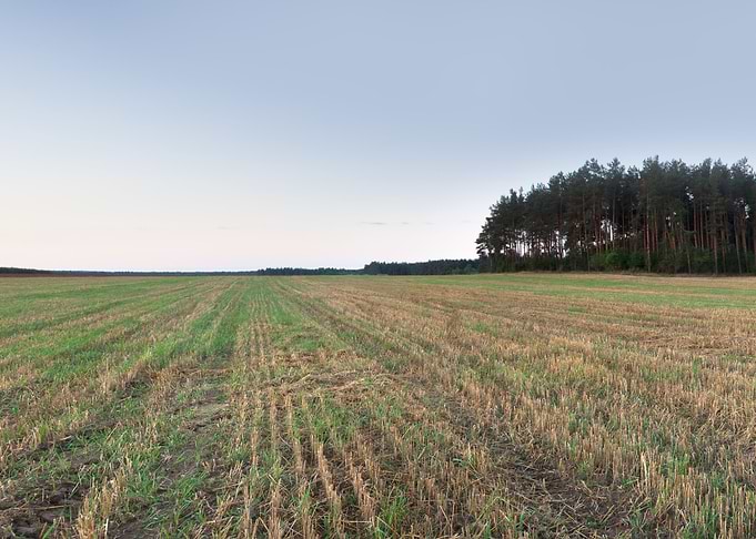 Agriculture Nature Harvest