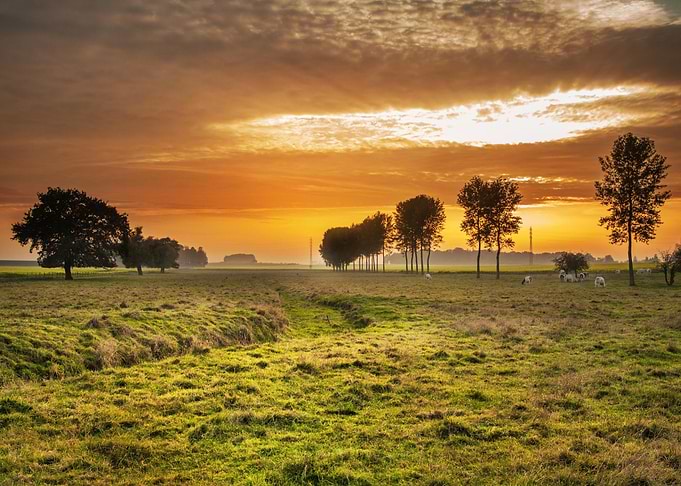 LandscapesMountain Nature