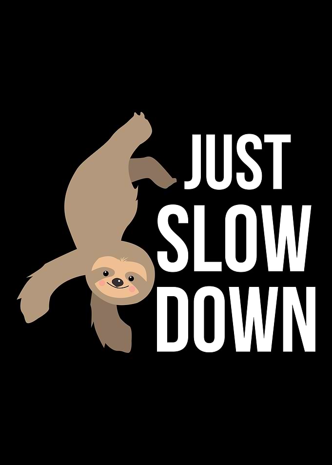 sloth