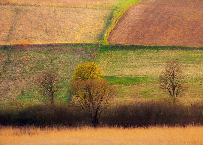 Poland Plain Purple Rural