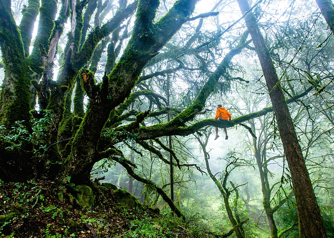 LandscapesMountain Nature