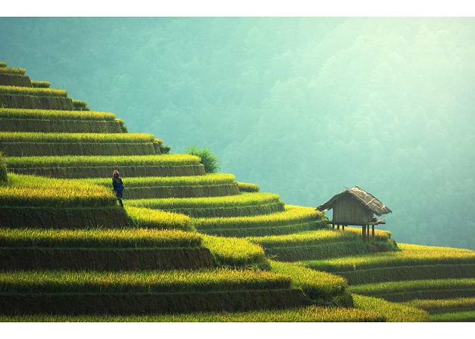 LandscapesMountain Nature