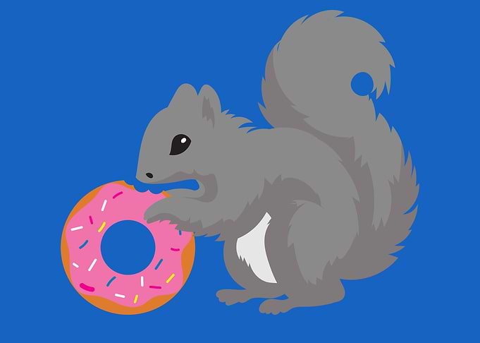 Squirrel Donut