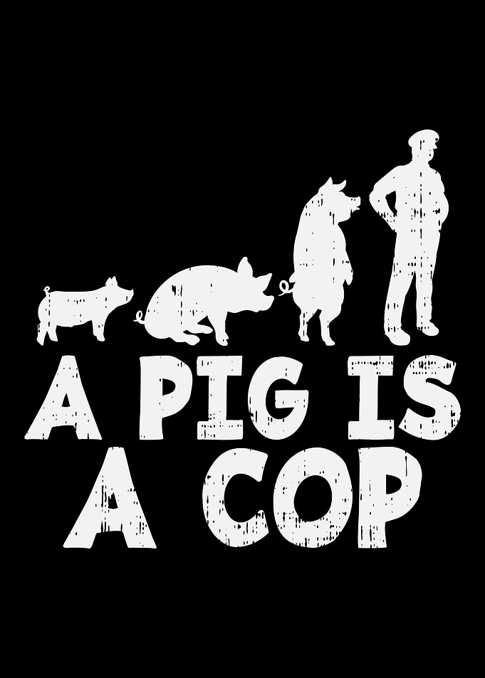 Police Officer Sheriff