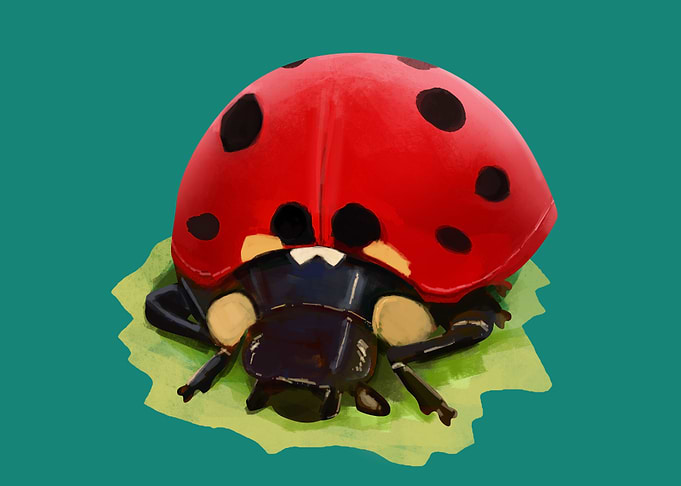 Ladybug