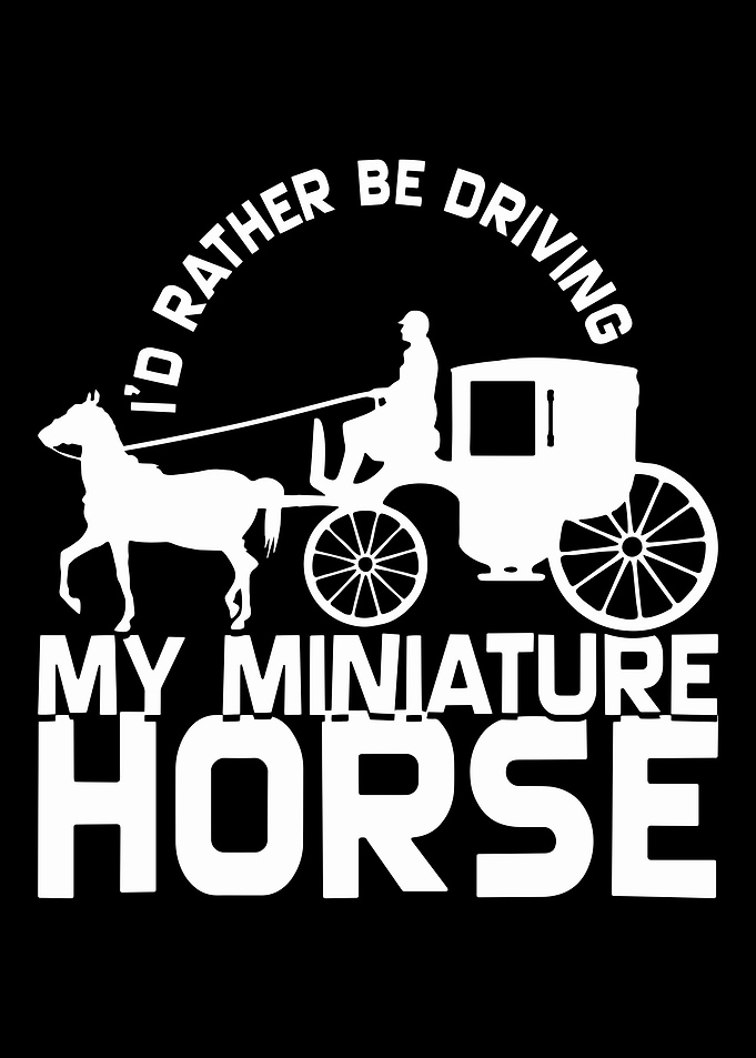 miniature horse Dressage